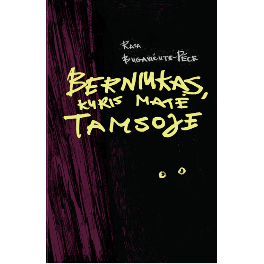 Rasa Bugavičute-Pēce - Berniukas, kuris matė tamsoje