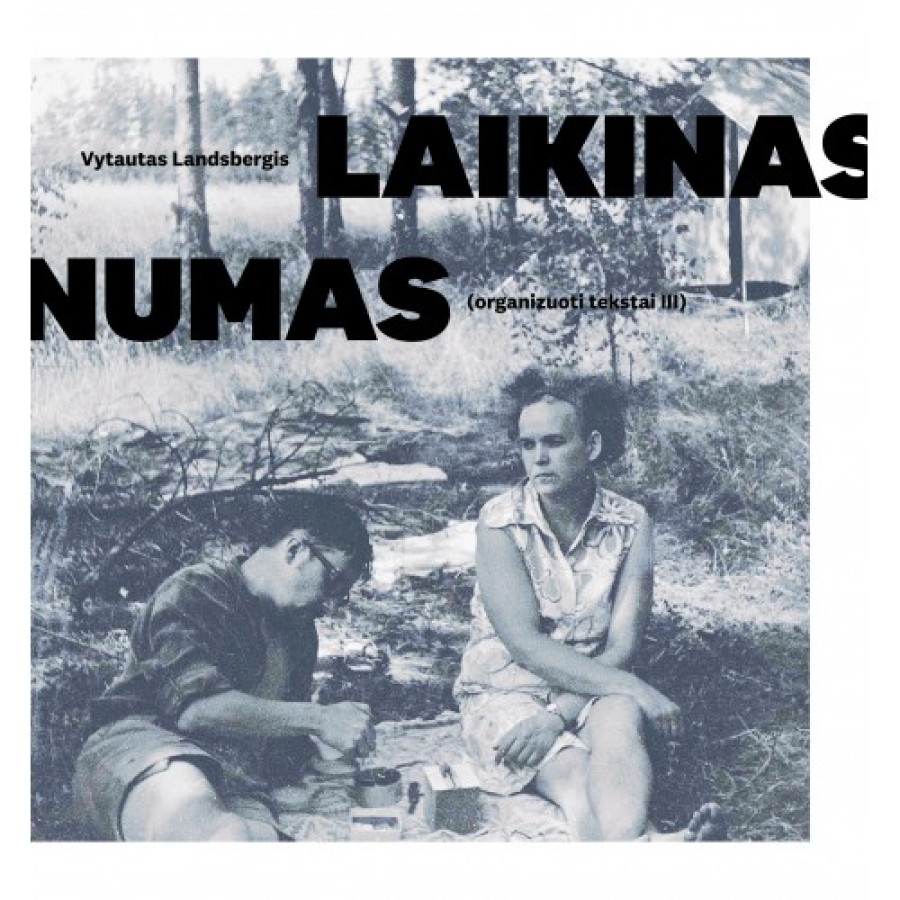 Vytautas Landsbergis - Laikinas Numas. Organizuoti tekstai III